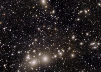 Galaxies belonging to the Perseus Cluster and others further away, captured by Euclid telescope, designed and built by European Space Agency (ESA) to explore dark matter and dark energy which are thought to make up 95% of the universe, are seen in this undated handout image. European Space Agency/Handout via REUTERS