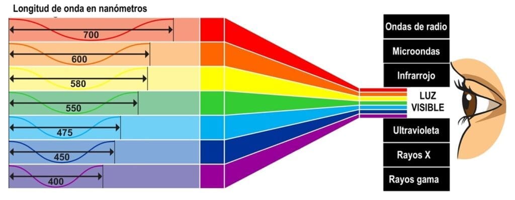 Espectro de luz visible y las longitudes de onda correspondientes.
