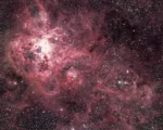 Tarantula nebula in the LMC, before supernova 1987A. Same scale as AAT 48.
Three-colour image made from BGR plates taken at the AAT prime focus:
2311	  IIa-O/GG 385	20m
2312  IIa-D/GG 495	25m
2310  098-04/RG 610	35m
