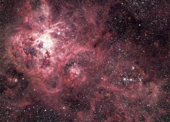 Tarantula nebula in the LMC, before supernova 1987A. Same scale as AAT 48.
Three-colour image made from BGR plates taken at the AAT prime focus:
2311	  IIa-O/GG 385	20m
2312  IIa-D/GG 495	25m
2310  098-04/RG 610	35m
