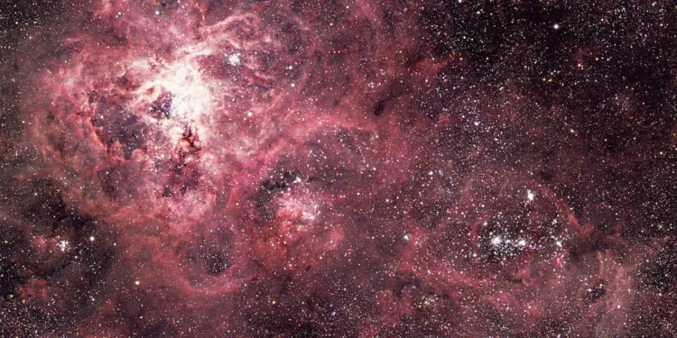 Tarantula nebula in the LMC, before supernova 1987A. Same scale as AAT 48.
Three-colour image made from BGR plates taken at the AAT prime focus:
2311	  IIa-O/GG 385	20m
2312  IIa-D/GG 495	25m
2310  098-04/RG 610	35m
