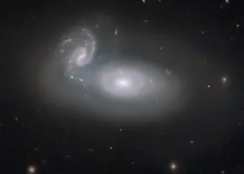 Previously the Hubble Picture of the Week series has featured a jewel in the queen’s hair — a spiral galaxy in the constellation Coma Berenices, named for the hair of the historical Egyptian queen. However, that galaxy is only one of many known in this constellation. This week’s new image from the NASA/ESA Hubble Space Telescope depicts the cosmic tangle that is MCG+05-31-045, a pair of interacting galaxies located 390 million light-years away and a part of the so-called Coma galaxy cluster. The Coma cluster is a particularly rich cluster and contains over a thousand known galaxies. Several can be easily seen with amateur telescopes. Most of them are elliptical galaxies, and that’s typical of a dense galaxy cluster like the Coma cluster: many elliptical galaxies are formed in close encounters between galaxies that stir them up, or even collisions that rip them apart. While the stars in the interacting galaxies can stay together, the gas in the galaxies is a different story — it’s twisted and compressed by gravitational forces, and rapidly used up to form new stars. When the hot, massive, blue stars die, there is little gas left to replace them with new generations of young stars. For interacting spiral galaxies, the regular orbits that produce their striking spiral arms are also disrupted. Whether through mergers or simple near misses, the result is a galaxy almost devoid of gas, with ageing stars orbiting in uncoordinated circles: an elliptical galaxy. It’s very likely that a similar fate will befall MCG+05-31-045. As the smaller spiral galaxy is torn up and integrated into the larger galaxy, many new stars will form, and the hot, blue ones will quickly burn out, leaving cooler, redder stars behind in an elliptical galaxy much like the others in the Coma cluster. But this process won’t be complete for many millions of years — until then, Queen Berenice II will have to suffer the knots in her hair! [Image Description: In the centre is a large, oval