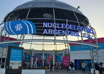 Imagen de la seda de Nucleoeléctrica Argentina S.A., la empresa púclica del sector nuclear que el Gobierno quiere privatizar. privatización nuclear argentina