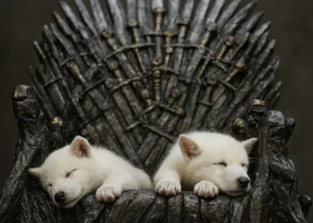 Lobo Huargo Iron Throne