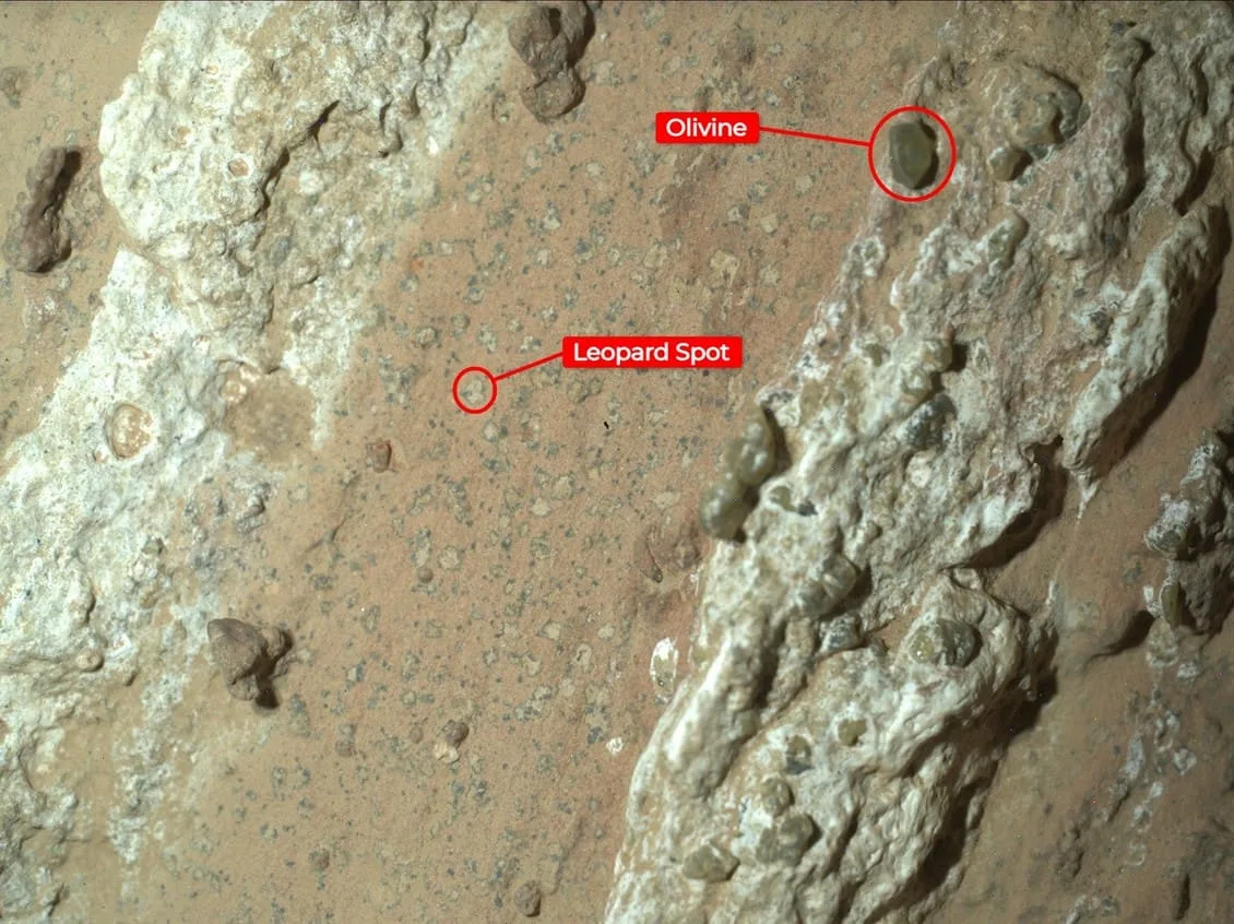 Imagen de la roca Cheyava Falls y el patrón moteado que puede tener un origen biológico.
