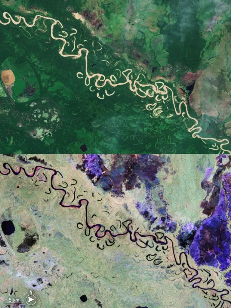Radar Biomass