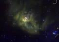 JWST enanas marrones