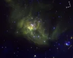 JWST enanas marrones