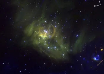 JWST enanas marrones