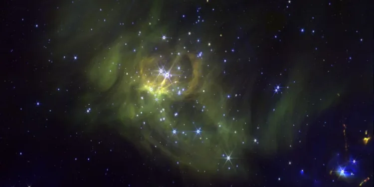 JWST enanas marrones