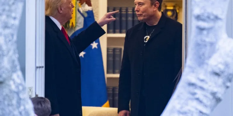 Donald Trump y Elon Musk
