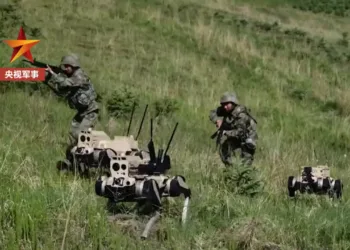 China Lobos Robots
