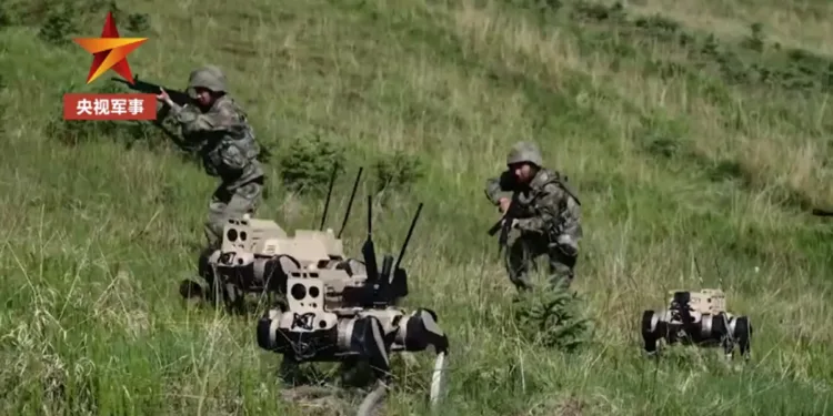 China Lobos Robots