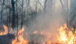 Incendio