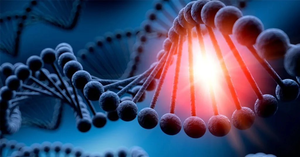 CRISPR funciona como una herramienta de edición genética: permite cortar y reescribir tramos específicos de ADN con alta precisión.