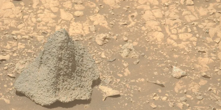 Casco Perseverance rover NASA Marte