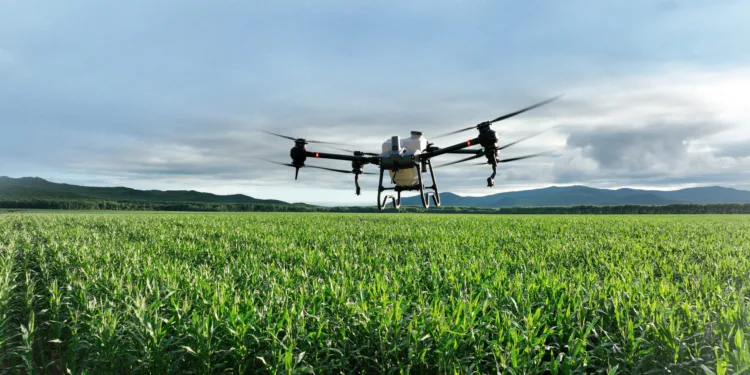 Drones Argentina