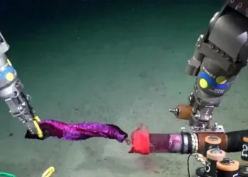 CONICET Mar del Plata