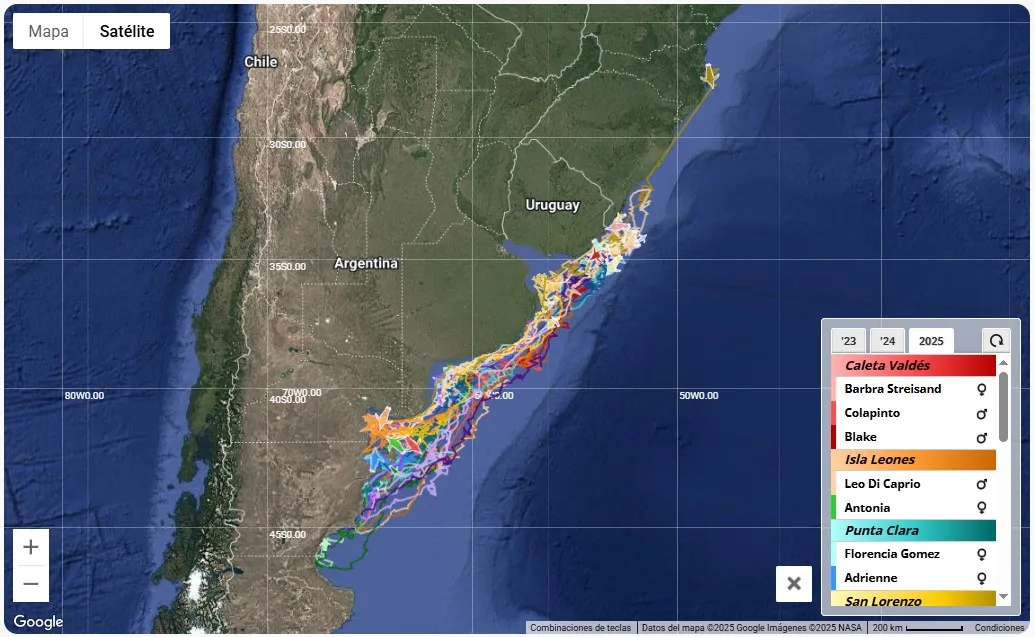 pingüinos de Magallanes CONICET