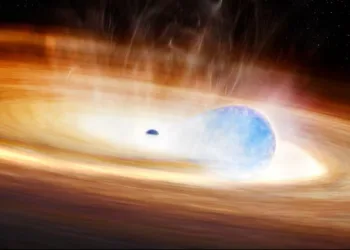 Supernova agujero negro