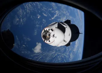 NASA Celulas madre