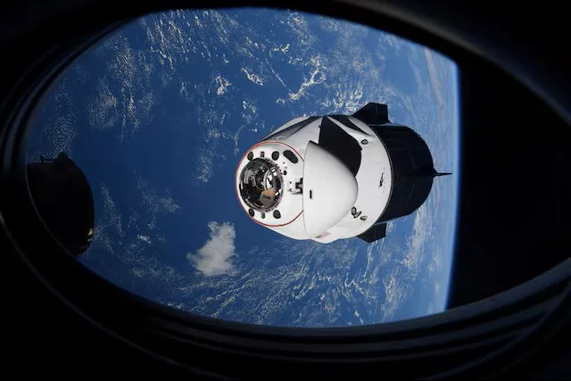 NASA Celulas madre