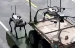 Lobo robot china