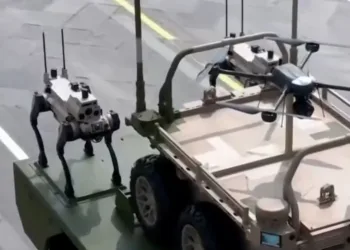 Lobo robot china