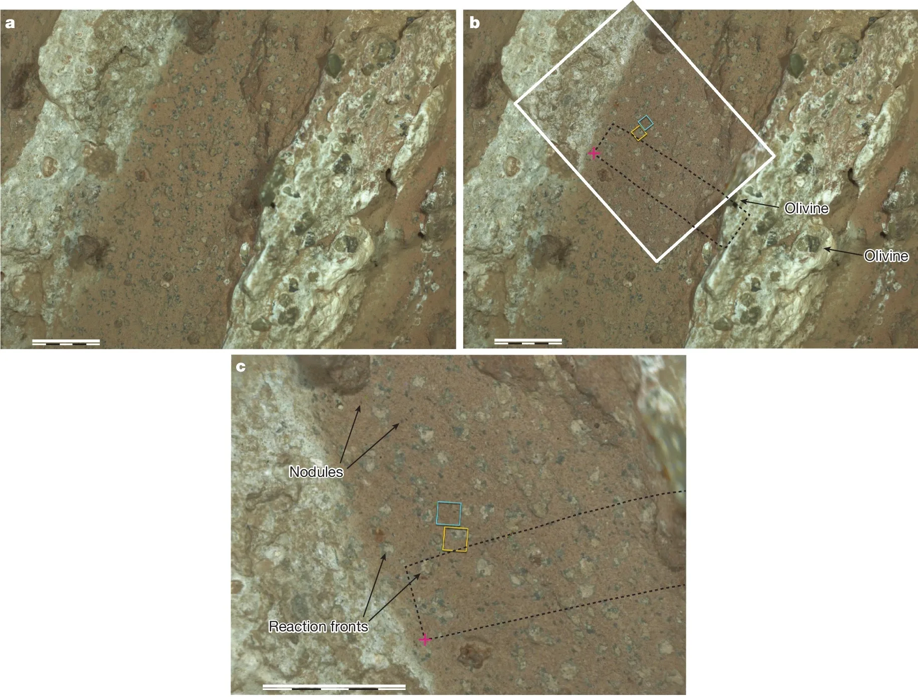 Imágenes de la roca roca Cheyava Falls tomada por el rover Perseverance de la NASA en Marte.