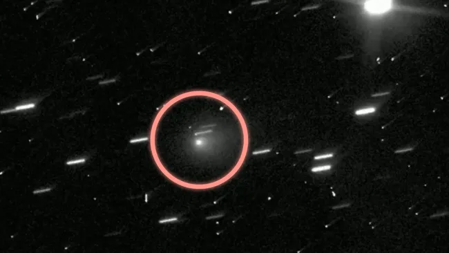 3I ATLAS Cometa