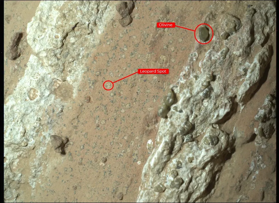 Las manchas de leopardo encontradas en una roca en Marte por el rover Perseverance.