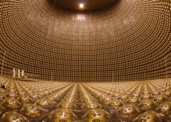 Neutrinos