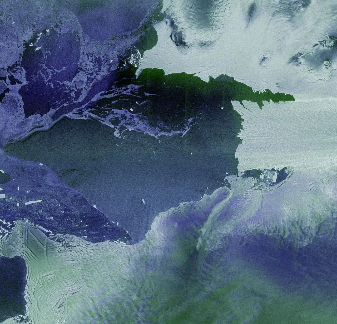 Antártida Sentinel-1D