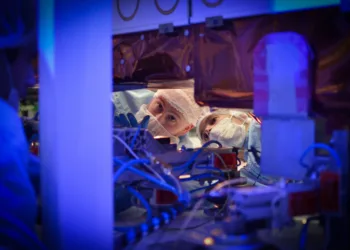 SAOCOM INVAP SATÉLITE ARGENTINO