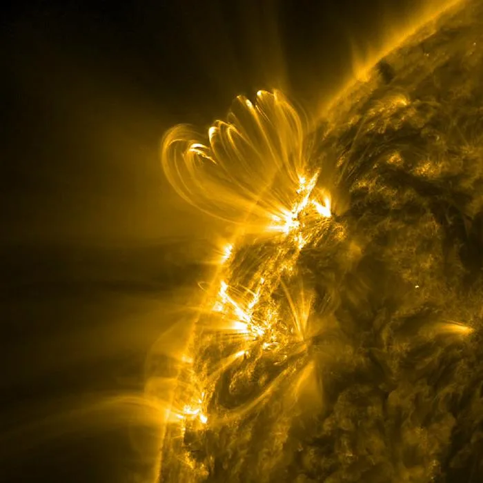 Bucles coronales sobre una región activa en ultratioleta extremo, observados por el Solar Dynamics Observatory (SDO).
