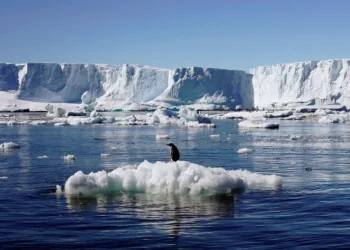 Imágenes satélitales muestran que la Antártida retrocedió 13.000 metros cuadrados de hielo anclado y reaviva la alerta por el nivel del mar.