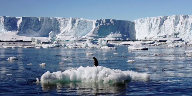 Imágenes satélitales muestran que la Antártida retrocedió 13.000 metros cuadrados de hielo anclado y reaviva la alerta por el nivel del mar.