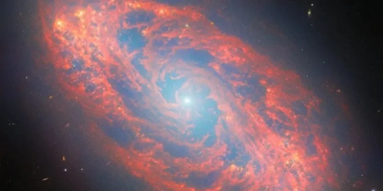El Telescopio Espacial James Webb (JWST) revela una imagen sorprendente la galaxia espiral NGC 5134.