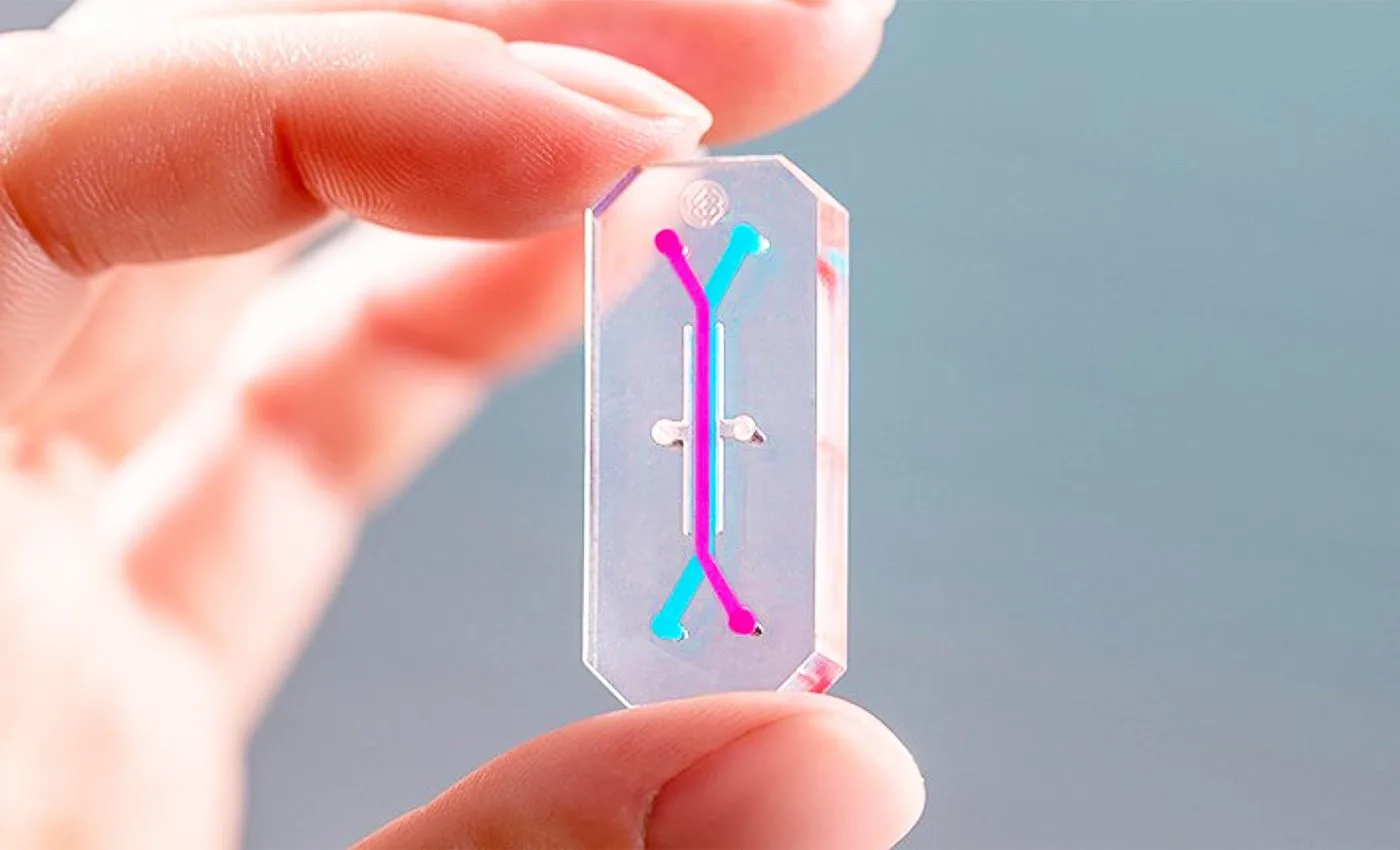 Imagen del chip Avatar (Organ on a chip) para la misión Artemisa II de la NASA. siete curiosidades Artemisa II