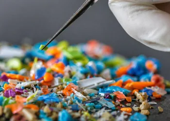 Argentinos desarrollan un filtro doméstico para remover microplásticos del agua potable.
