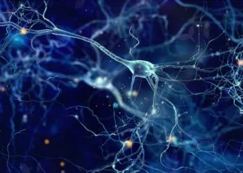 El CONICET podría poner fin al Alzheimer: el tratamiento de 40Hz que está limpiando cerebros