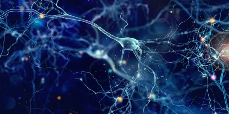 El CONICET podría poner fin al Alzheimer: el tratamiento de 40Hz que está limpiando cerebros