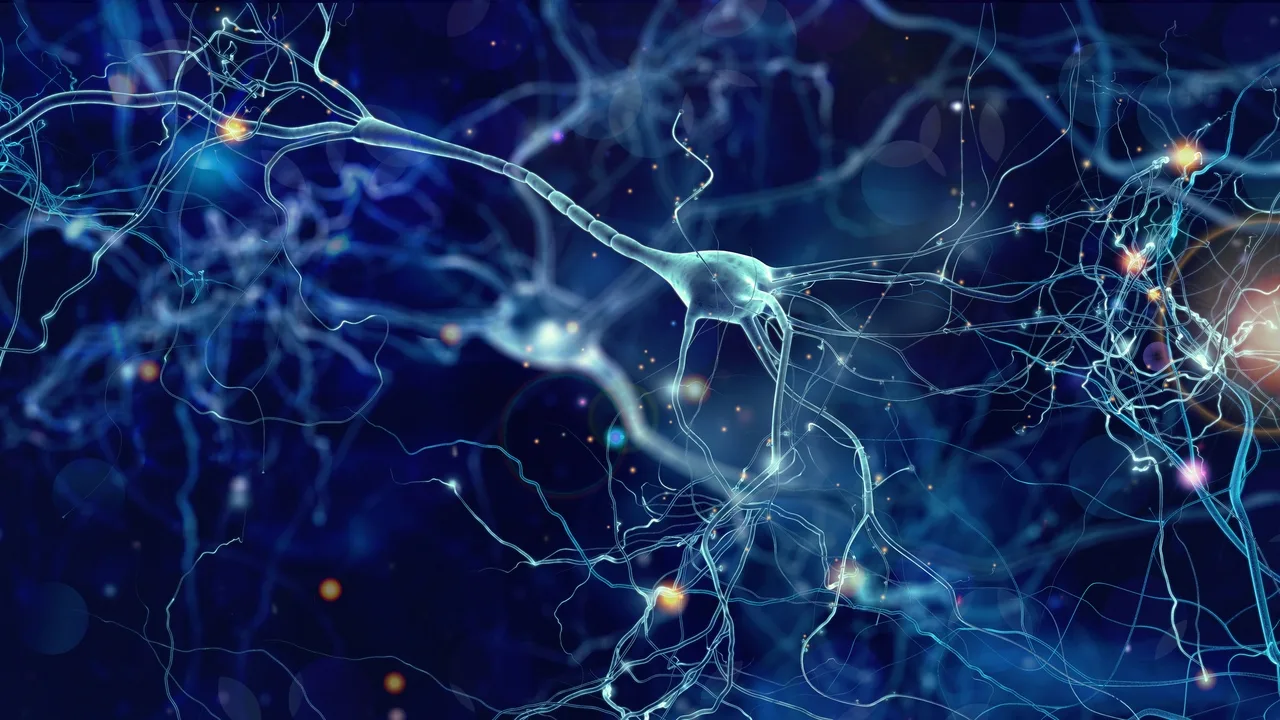 El CONICET podría poner fin al Alzheimer: el tratamiento de 40Hz que está limpiando cerebros
