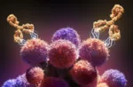 Imagen ilustrativa de un anticuerpo monoclonal atacando a un patógeno. Milstein anticuerpo