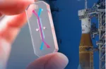 Microchip elaborado por Wyss Institute de Harvard University que tiene como objetivo la recopilación de datos biológicos en la misión Artemisa II de la NASA. Crédito: NASA. AVATAR Artemisa II