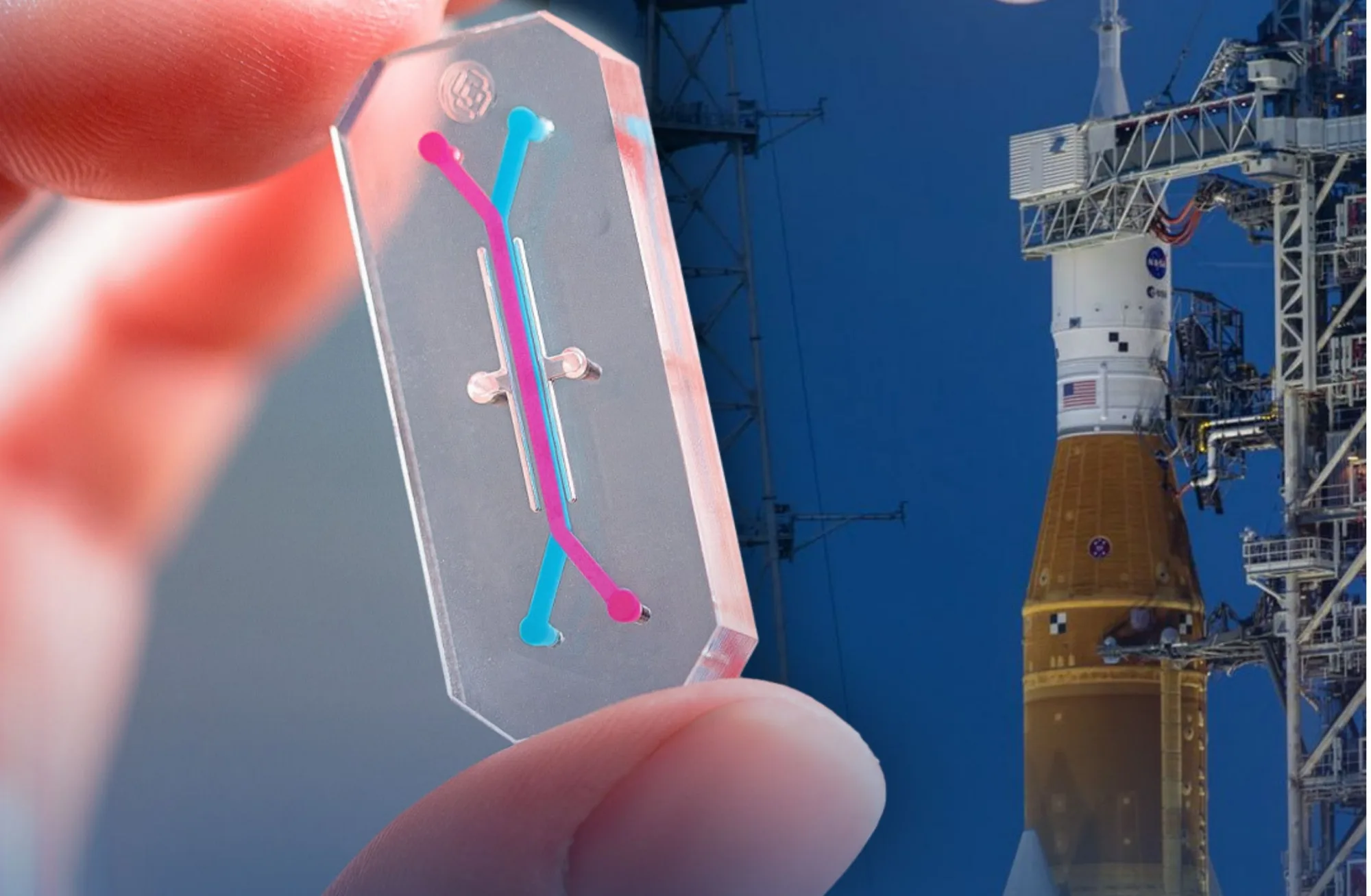 Microchip elaborado por Wyss Institute de Harvard University que tiene como objetivo la recopilación de datos biológicos en la misión Artemisa II de la NASA. Crédito: NASA. AVATAR Artemisa II