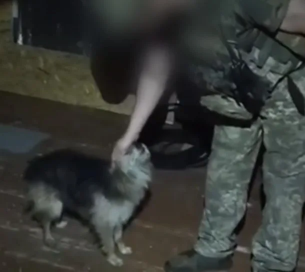 Captura de video del rescate de un perro y un gato con un dron por parte de la FF.AA de Ucrania. Crédito: Uanimals vía IG