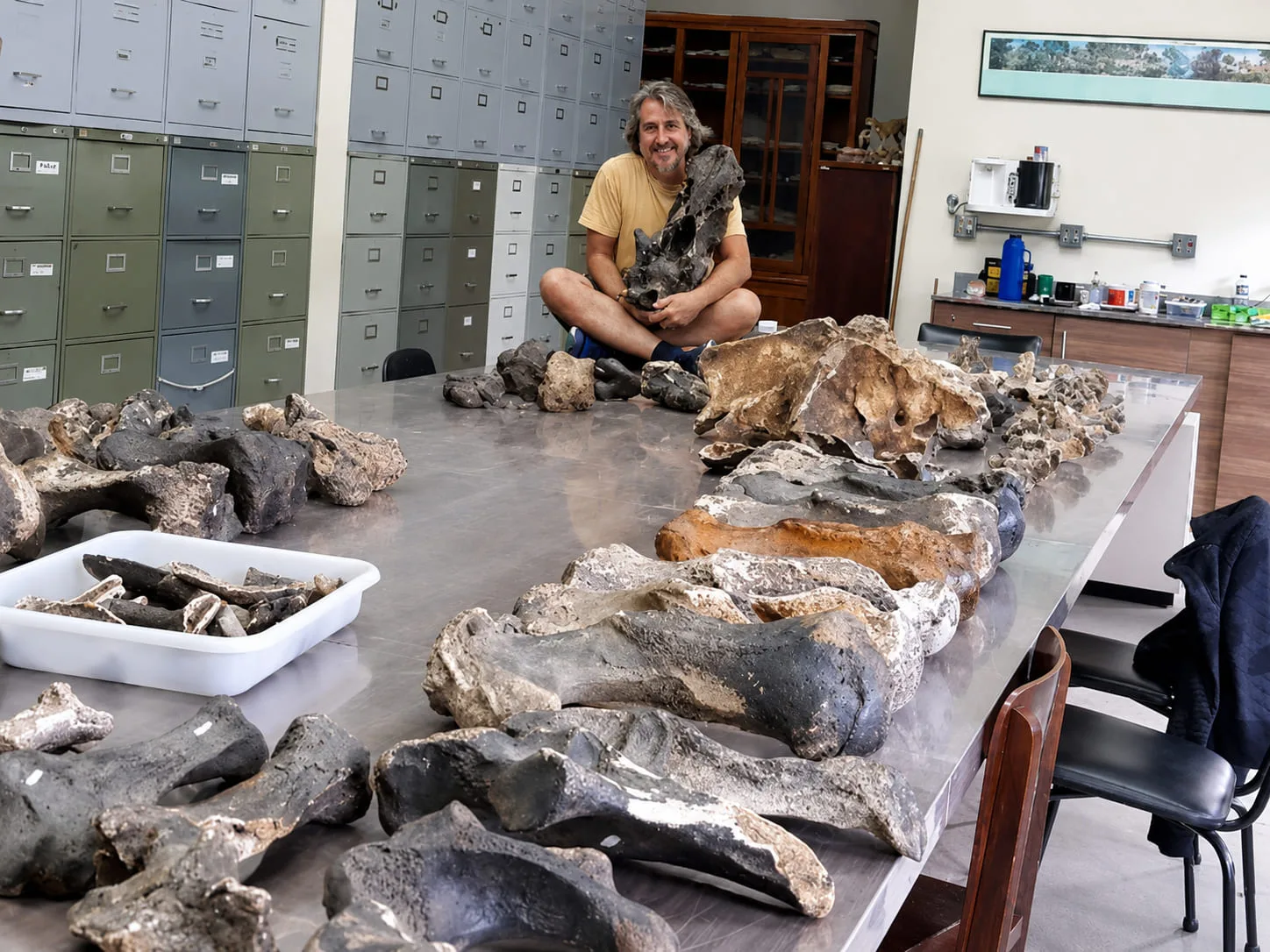 Fotografía del investigador del CONICET François Pujos, junto a ejemplares de perezosos gigantes de Brasil.