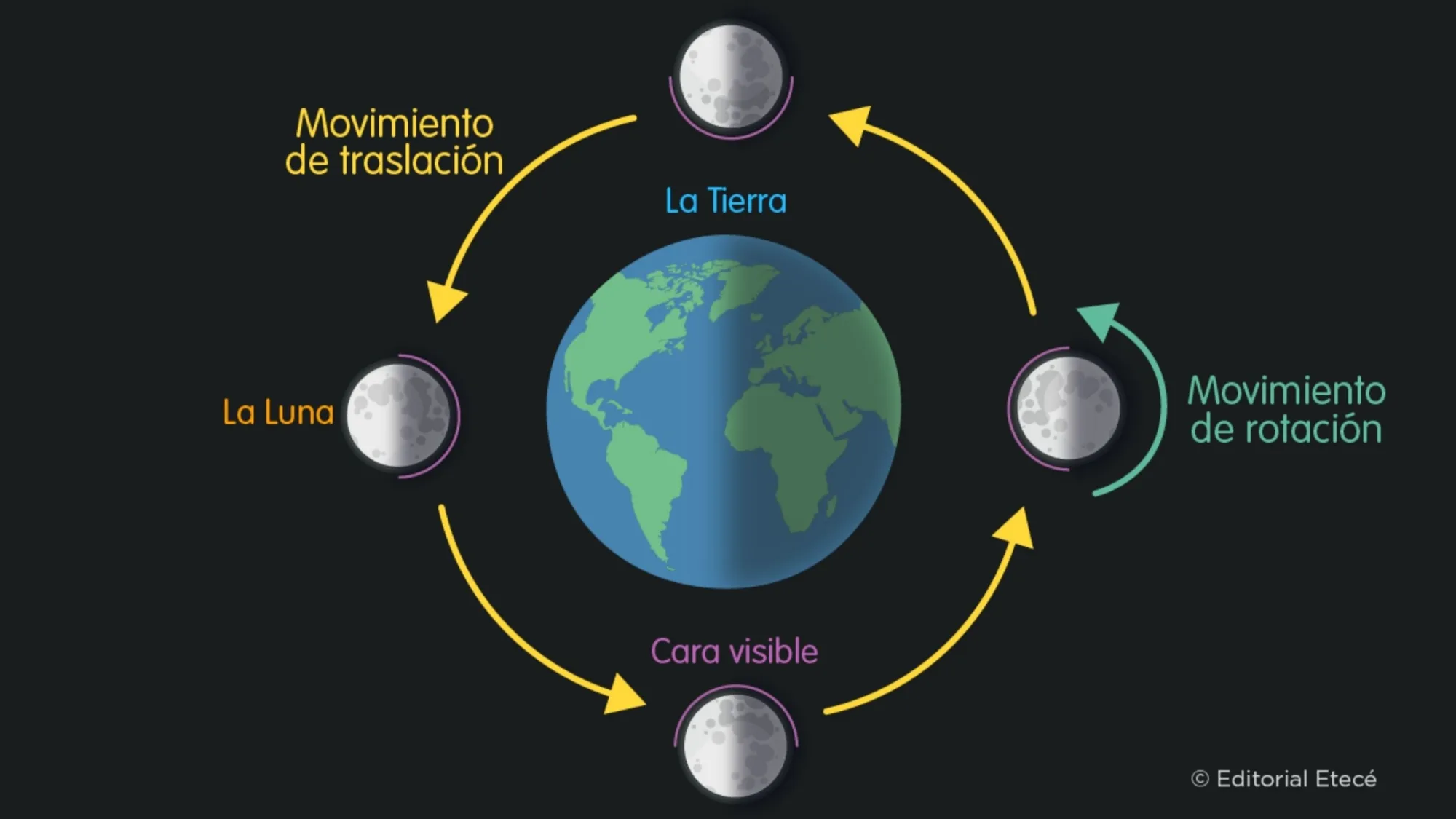 Ciclo lunar donde se aprecia como, a la izquierda, le llega luz solar a la cara no visible de la Luna.