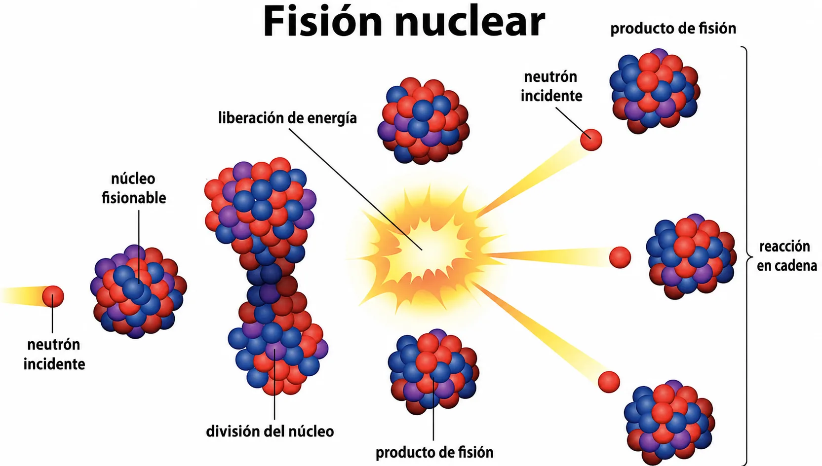 Reacción en cadena de fisión nuclear. Un neutrón incide sobre un núcleo de uranio, que se divide. Junto con la liberación de energía, se liberan más neutrones que generan una reacción en cadena.